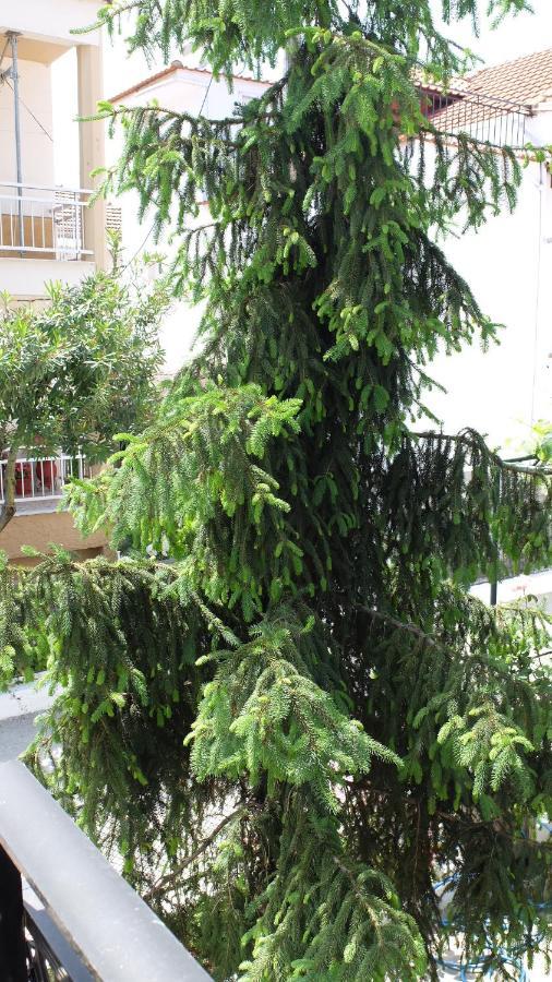 Elata-apartments Daire Limenas (Thasos)